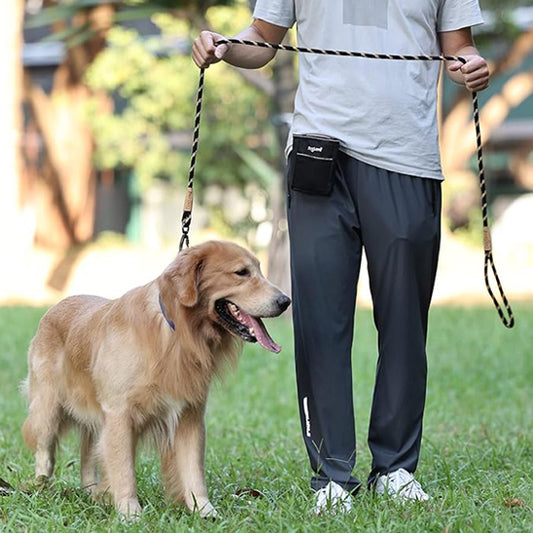 Laisse pour chien - Lasso Renforcé