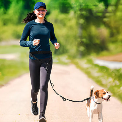 Laisse Mains Libres - DogRunner™