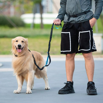 Laisse Mains Libres - DogRunner™