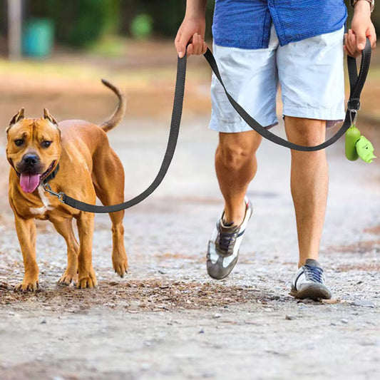Laisse pour Chien - Réfléchissante