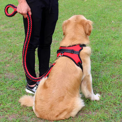 Laisse pour Chien - Tressé
