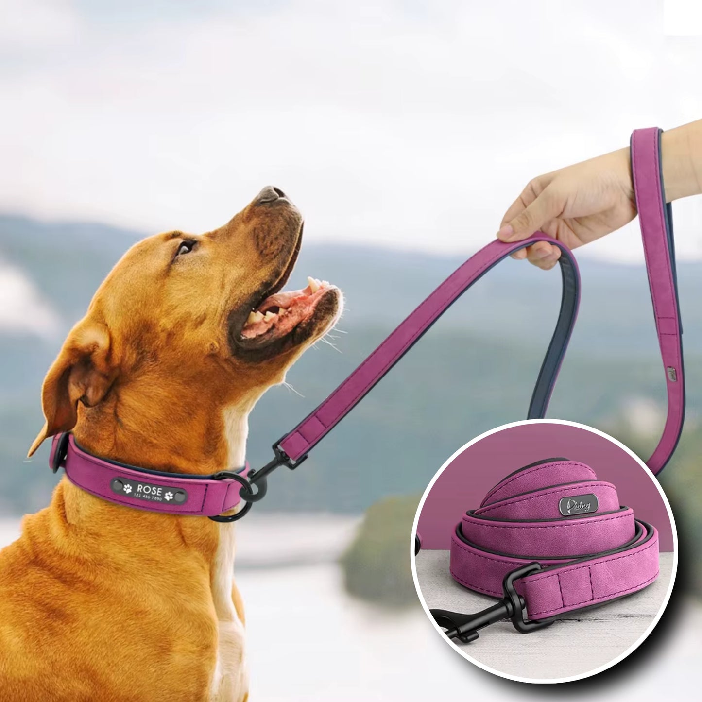 Laisse pour Chien - Cuir Doux