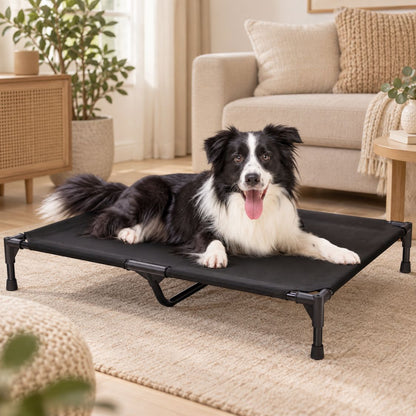 lit de camp pour chien border collie toile noire surelevee