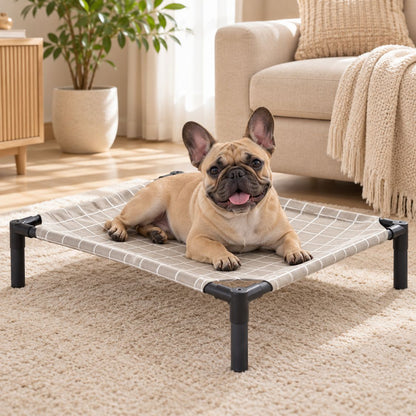 lit de camp pour chien bouledogue francais toile grise quadrillee