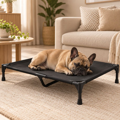 lit de camp pour chien bouledogue francais toile resistante