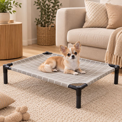 lit de camp pour chien chihuahua toile grise surelevee