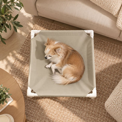 lit de camp pour chien gris chihuahua vue dessus