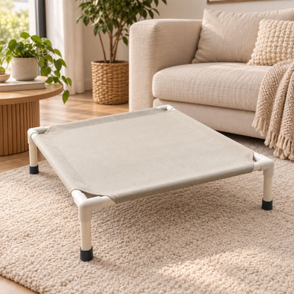 lit de camp pour chien gris sureleve salon beige