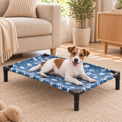 lit de camp pour chien jack russell toile bleue motifs ludiques