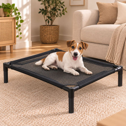 lit de camp pour chien jack russell toile noire respirante