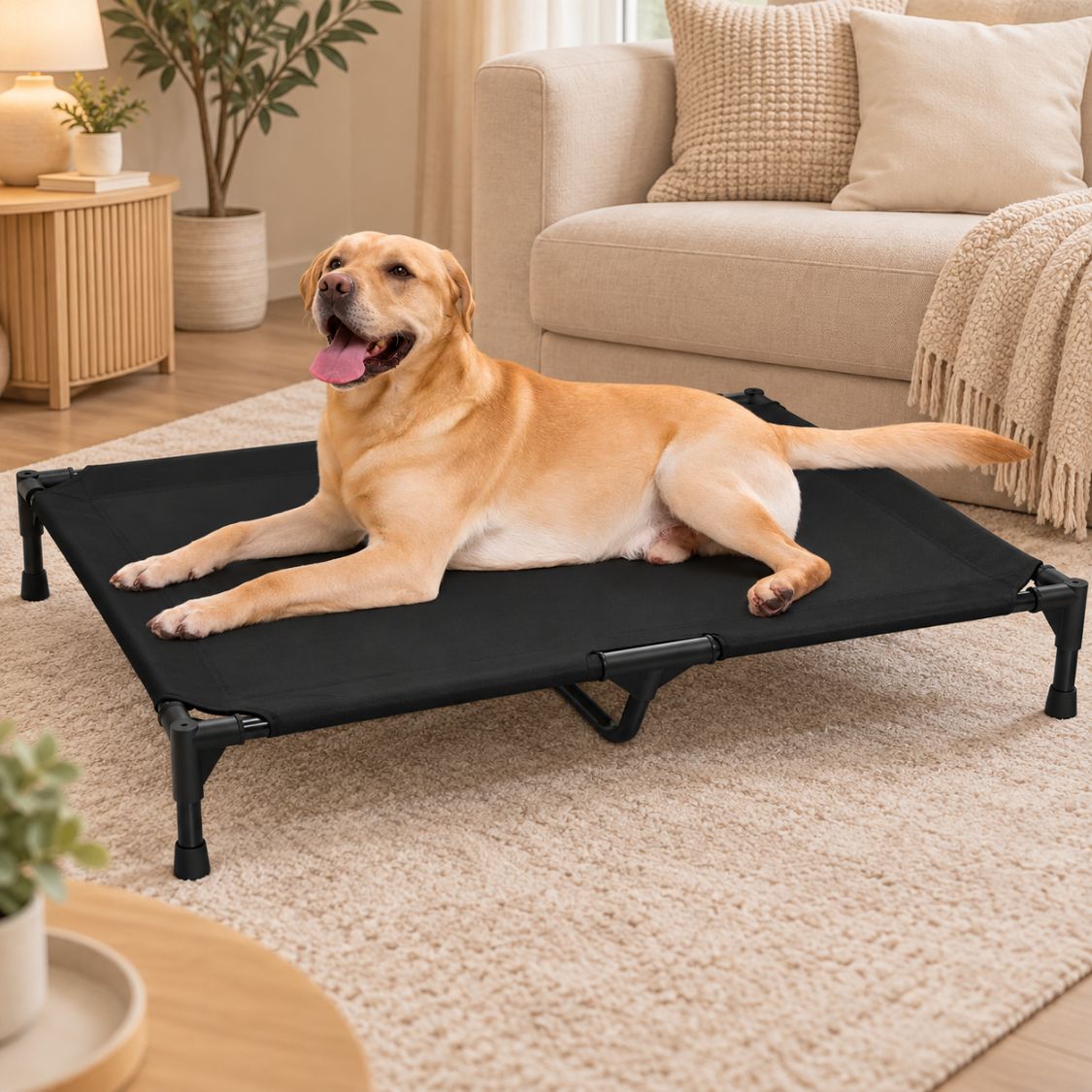 lit de camp pour chien labrador toile noire grand format