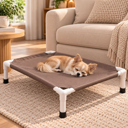 lit de camp pour chien marron spitz allonge salon