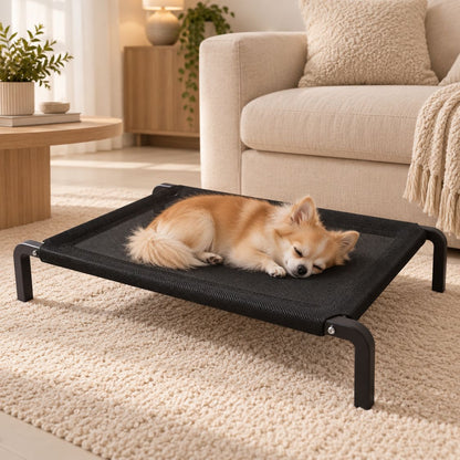 lit de camp pour chien noir chien allonge salon beige