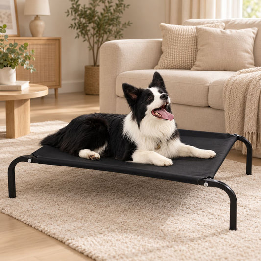 lit de camp pour chien noir sureleve salon confortable doux