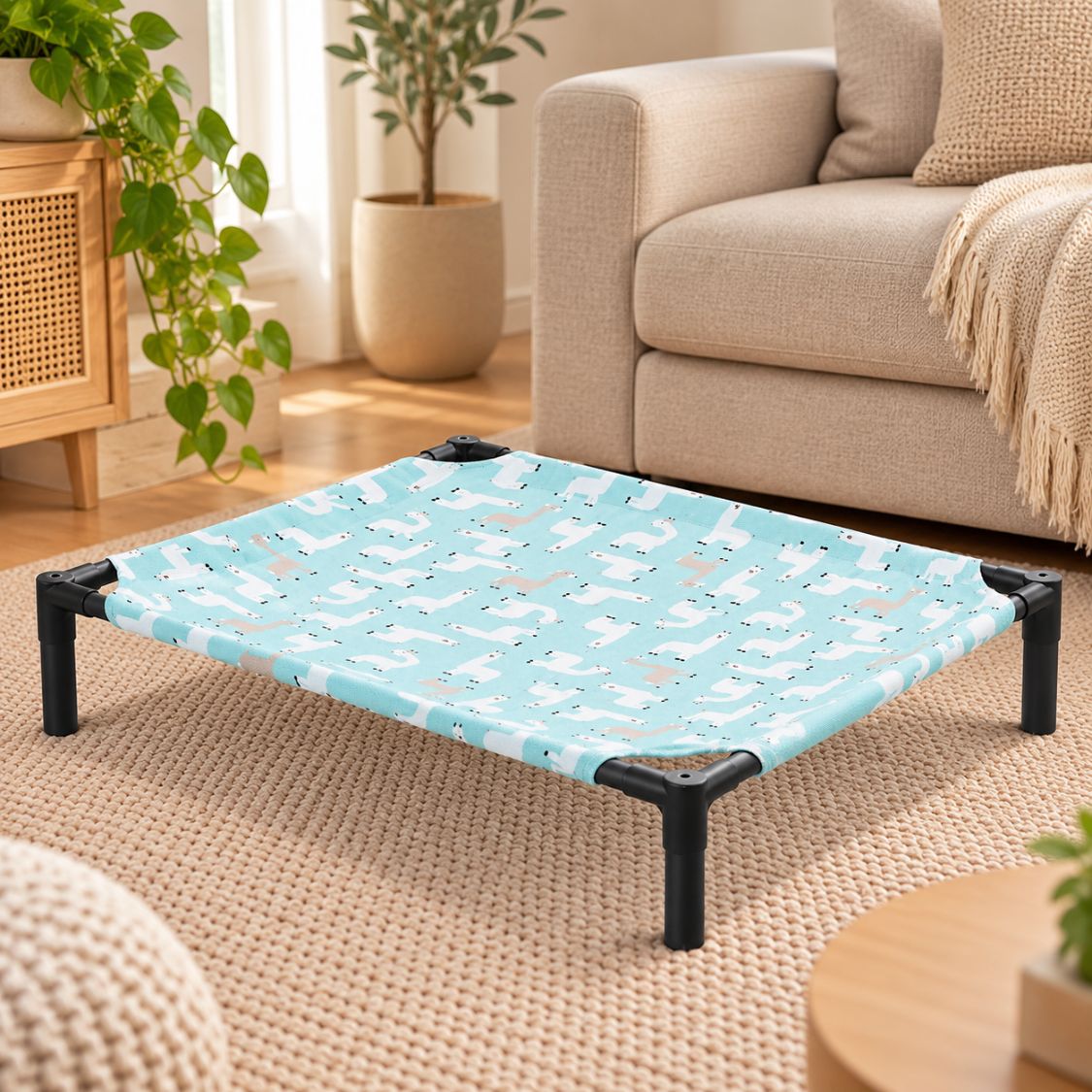 lit de camp pour chien spitz toile bleu clair motifs