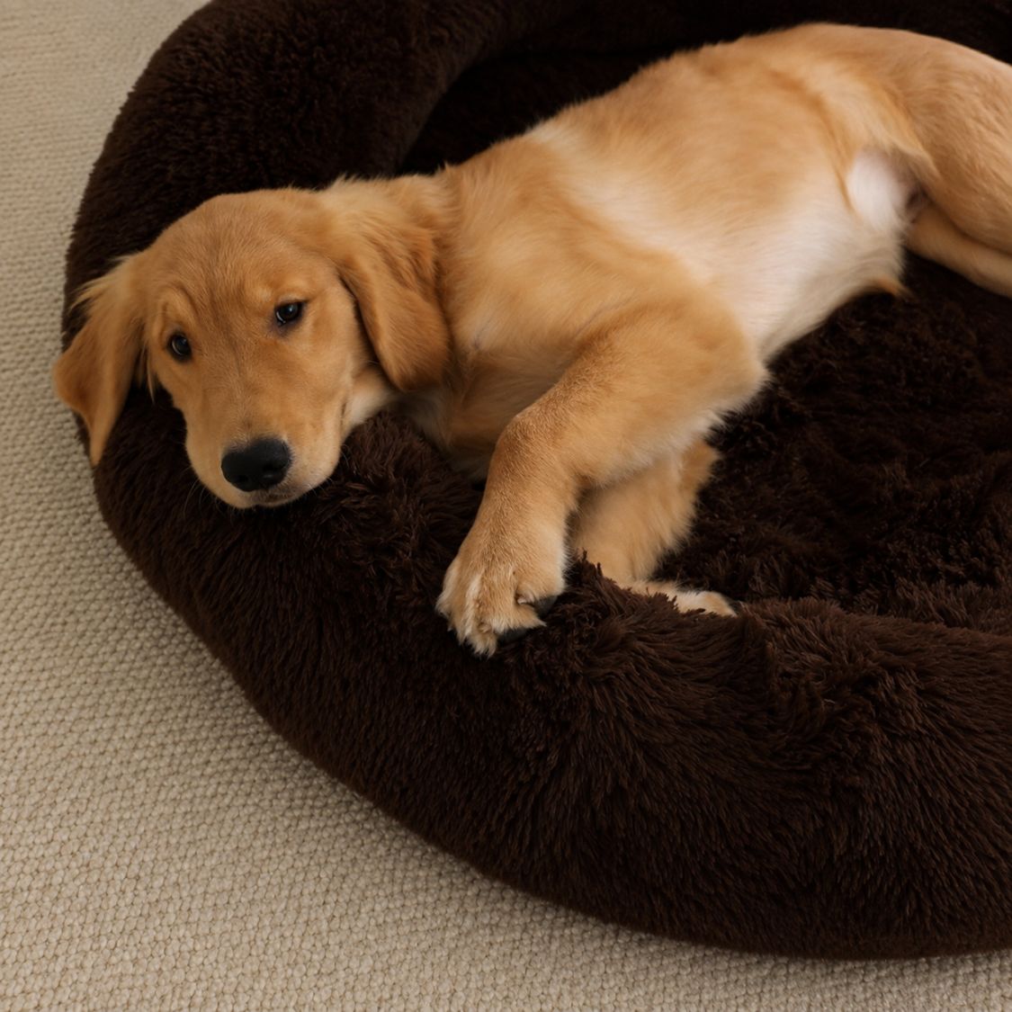 lit pour chien confort hiver marron chocolat