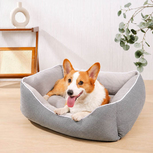 lit pour chien gris chien allonge velours confort