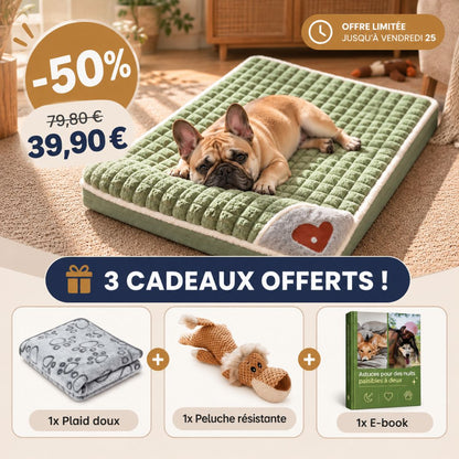 Lit pour chien – OrthoDream