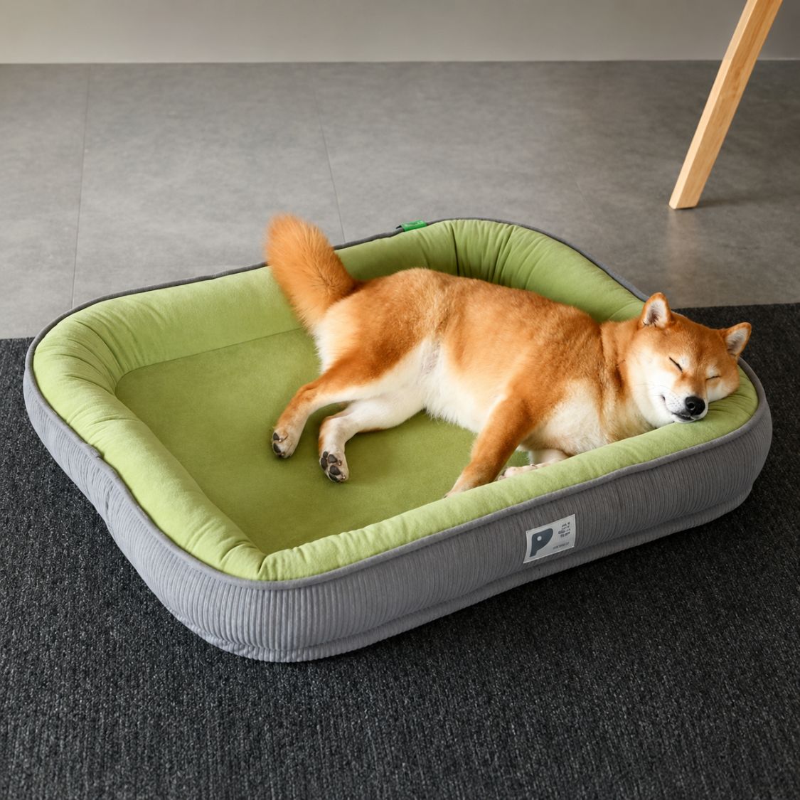 lit pour chien rebords doux couchage spacieux vert gris