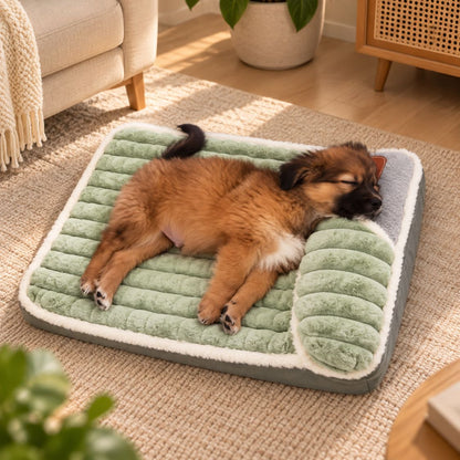 lit pour chien vert chien allonge cote