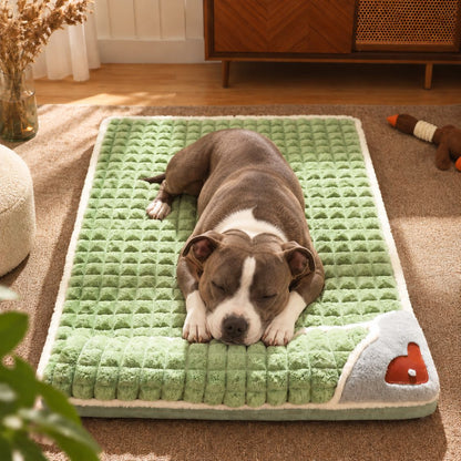 lit pour chien vert chien allonge face