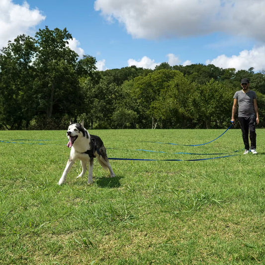 Longe pour chien - WildPaw™