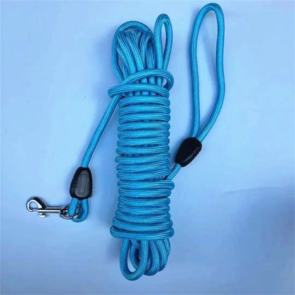 longe pour chien - Robuste
