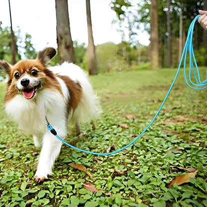 longe pour chien - Robuste