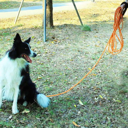 longe pour chien - Robuste