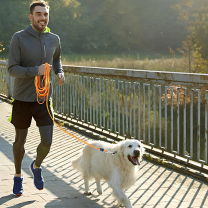 longe pour chien - Robuste