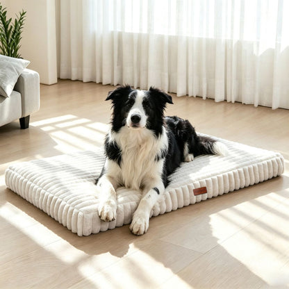 matelas memoire de forme pour chien beige grand chien installe
