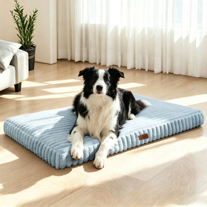 matelas memoire de forme pour chien bleu chien couche