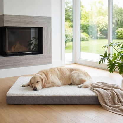 matelas orthopedique pour chien beige chien endormi confort