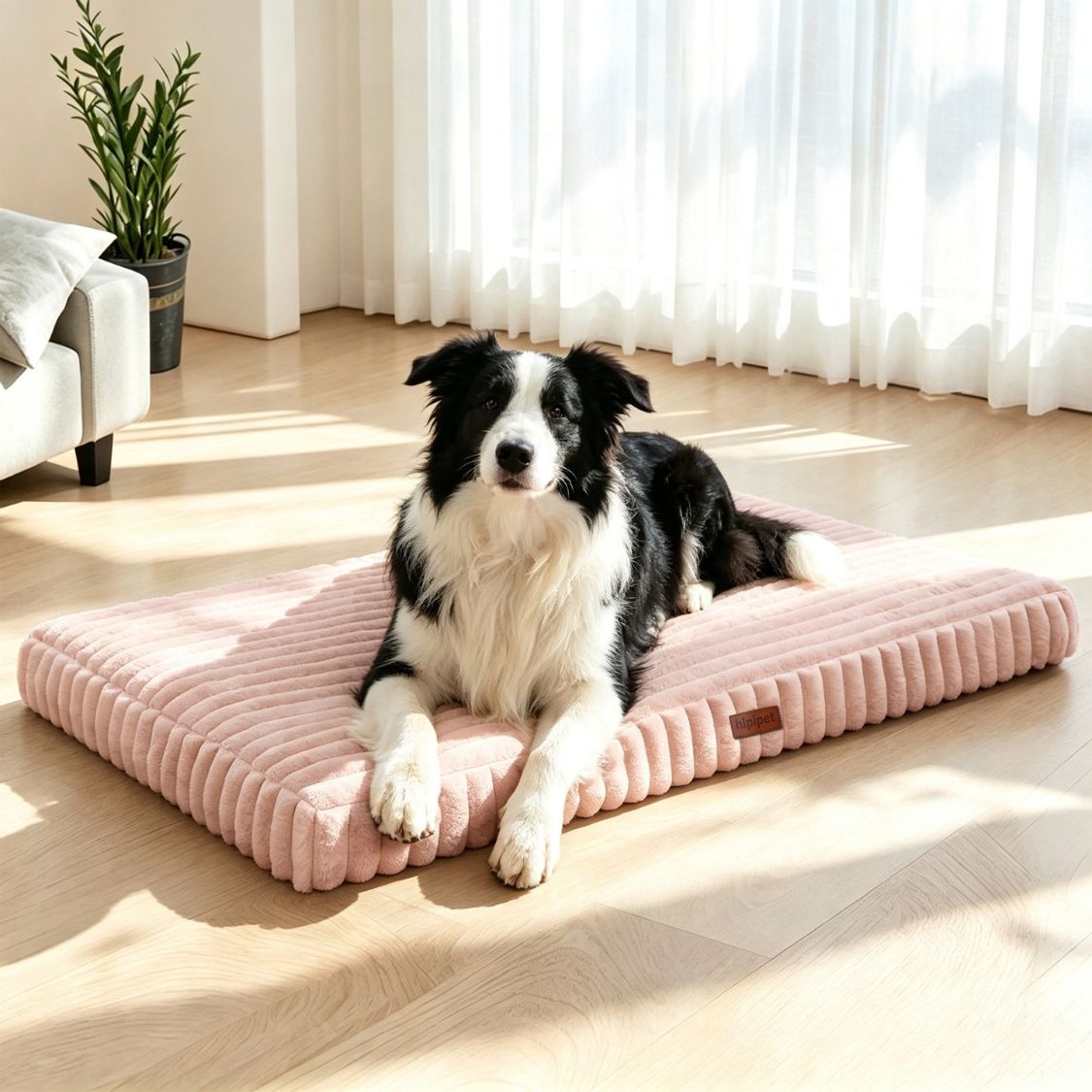 matelas orthopedique pour chien rose chien assis