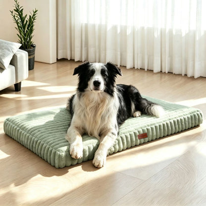 matelas orthopedique pour chien vert chien assis