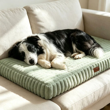matelas orthopedique pour chien vert chien endormi