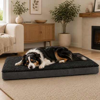 matelas pour chien XXL noir chien endormi confort