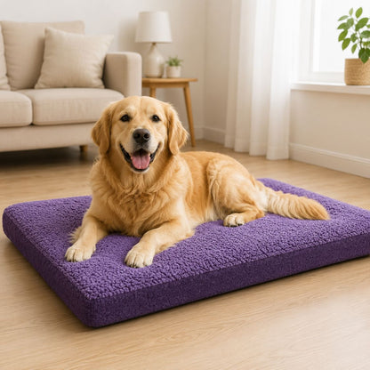 matelas pour chien a memoire de forme violet chien au repos