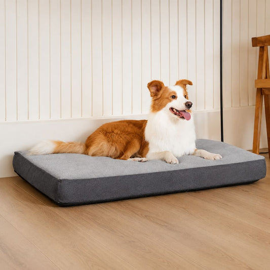 matelas pour chien orthopedique mousse alveolee soutien articulations