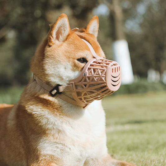 Muselière Chien - Anti Morsure