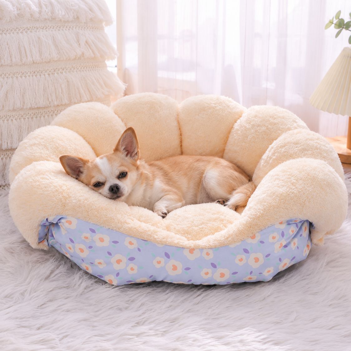 panier anti stress chien violet chihuahua allonge
