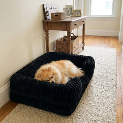 panier chien noir cotele confort chien endormi