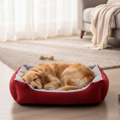 panier chien rouge avec assise capitonnee et chien endormi