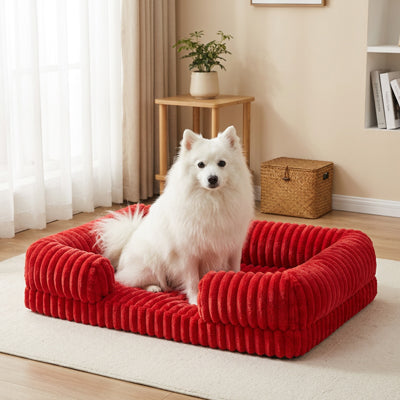 panier chien rouge cotele moelleux chien blanc