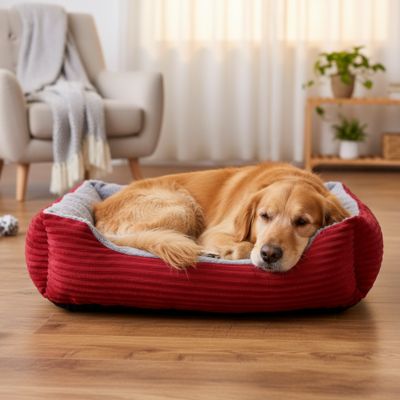 panier chien rouge en velours cotele avec chien allonge
