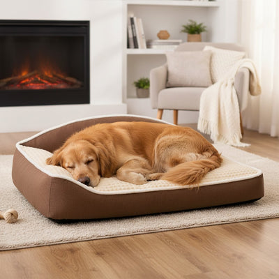 panier chien xxl moelleux marron doux