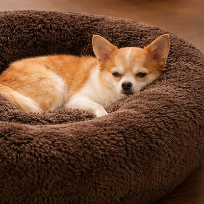 Coussin pour chien – donut