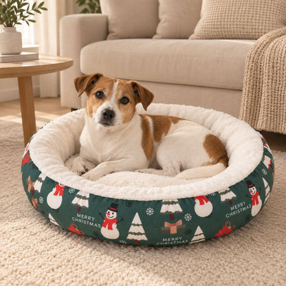 panier petit chien noel vert chien assis