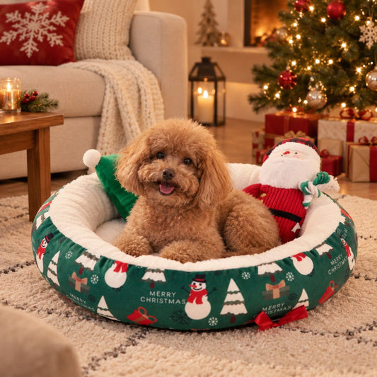 panier petit chien noel vert petit chien