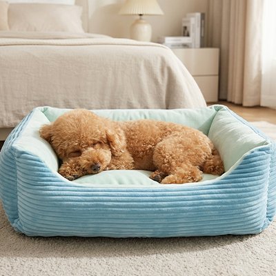 Panier pour chien bleu confortable doux